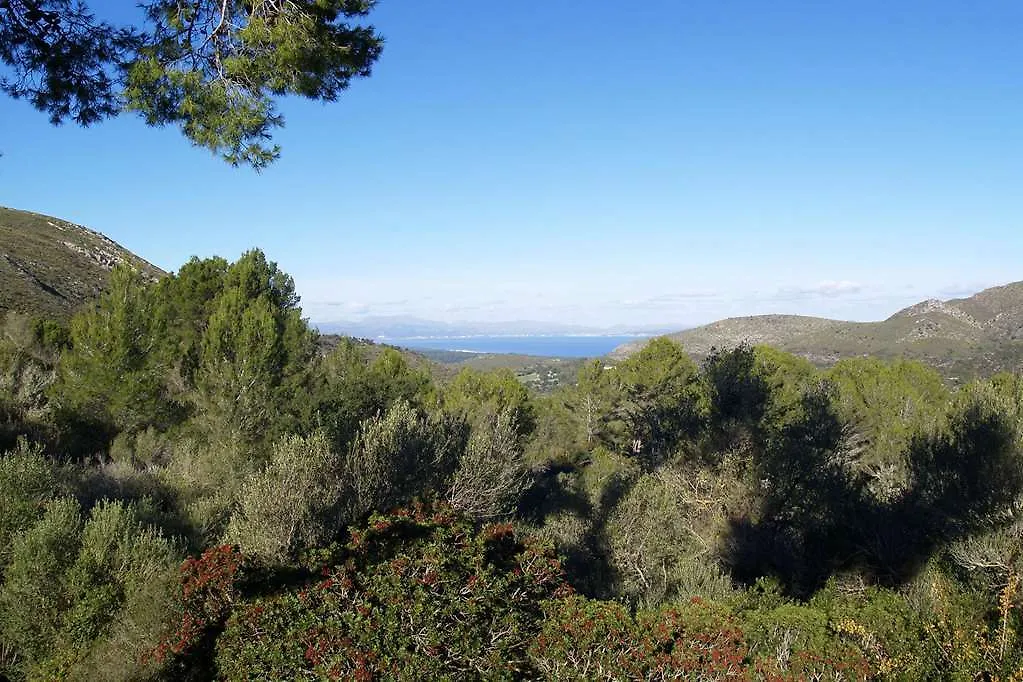 Carrossa Hotel & Spa Artá
