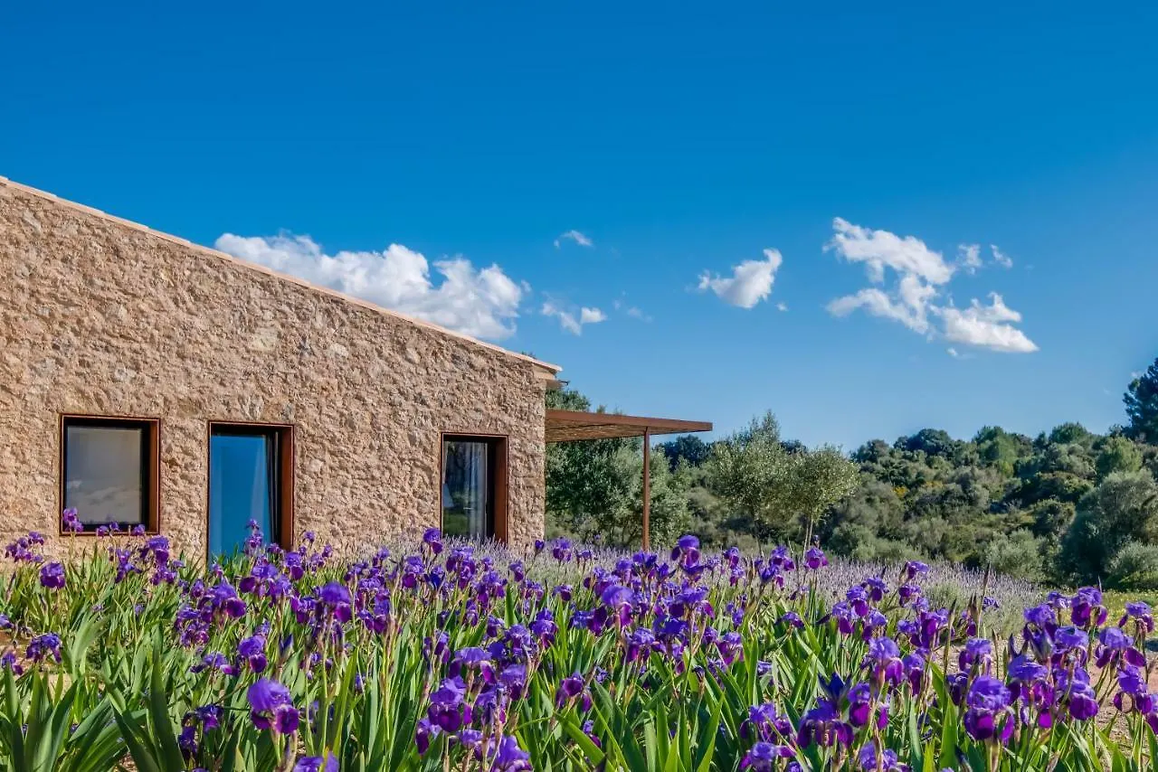 Carrossa Hotel & Spa Artá Spanien